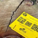 Kayu gelondongan label Kemenhut