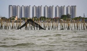 Pagar laut misterius
